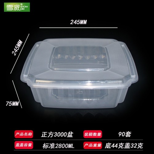 American-style PP square food container