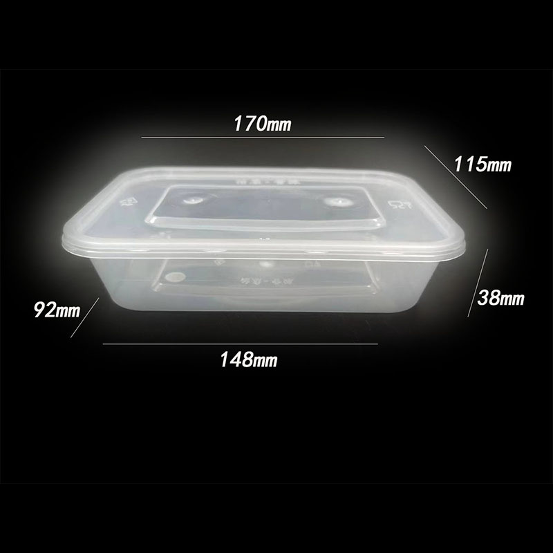 Spuitgegoten rechthoekige plastic lunchbox